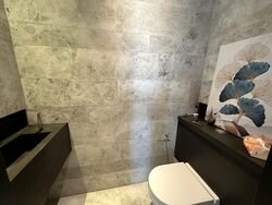 OUE Twin Peaks (D9), Condominium #502317301